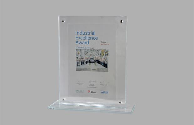 Turkish champion at the 2017 Industrial Excellence Awards